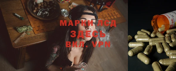 дурь Алексин