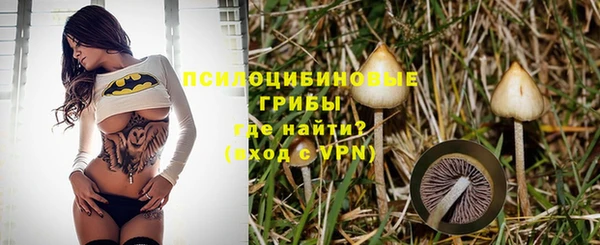 спиды Алзамай