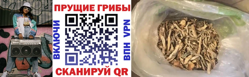 сколько стоит  kraken ONION  Галлюциногенные грибы MAGIC MUSHROOMS  Белорецк 